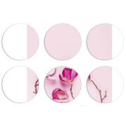 Магнитные фотопазлы круги d55 набор 6 штук 