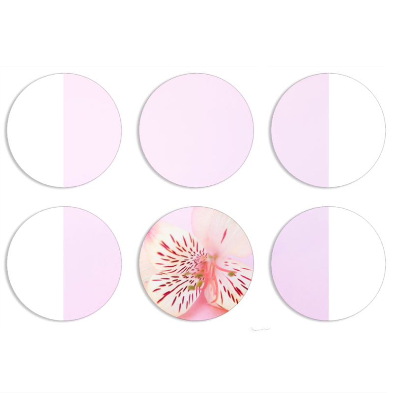 Магнитные фотопазлы круги d55 набор 6 штук 