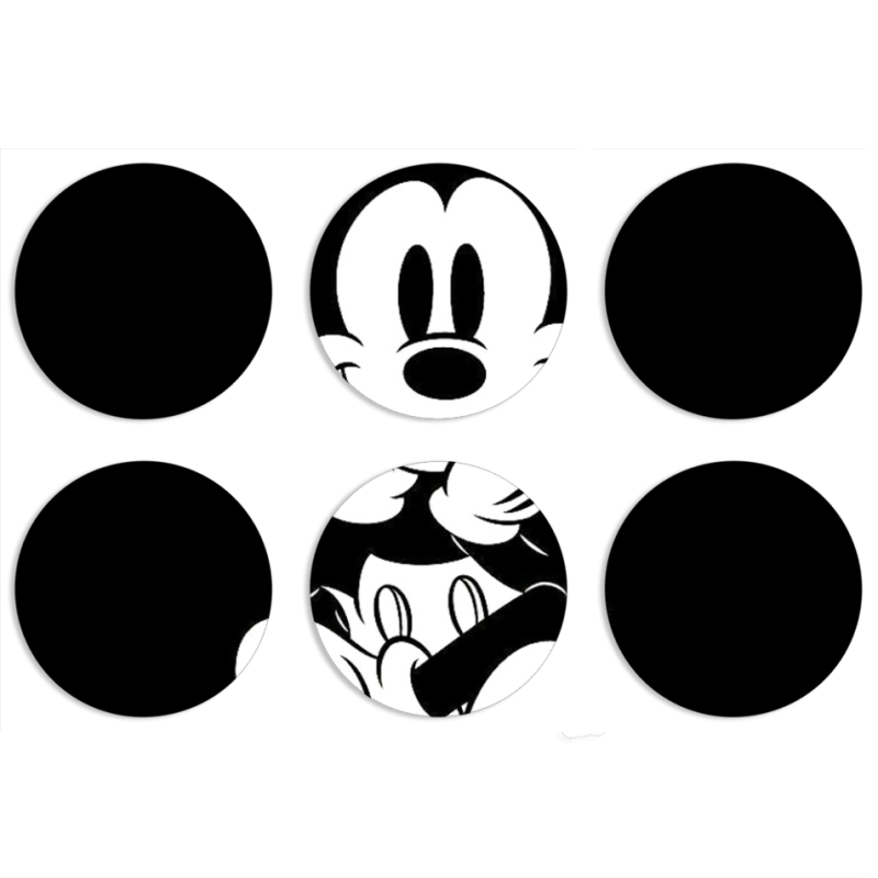 Магнитные фотопазлы круги d55 набор 6 штук 