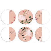 Магнитные фотопазлы круги d55 набор 6 штук 