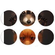 Магнитные фотопазлы круги d55 набор 6 штук 