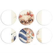 Магнитные фотопазлы круги d55 набор 6 штук 