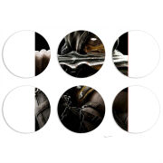Магнитные фотопазлы круги d55 набор 6 штук 