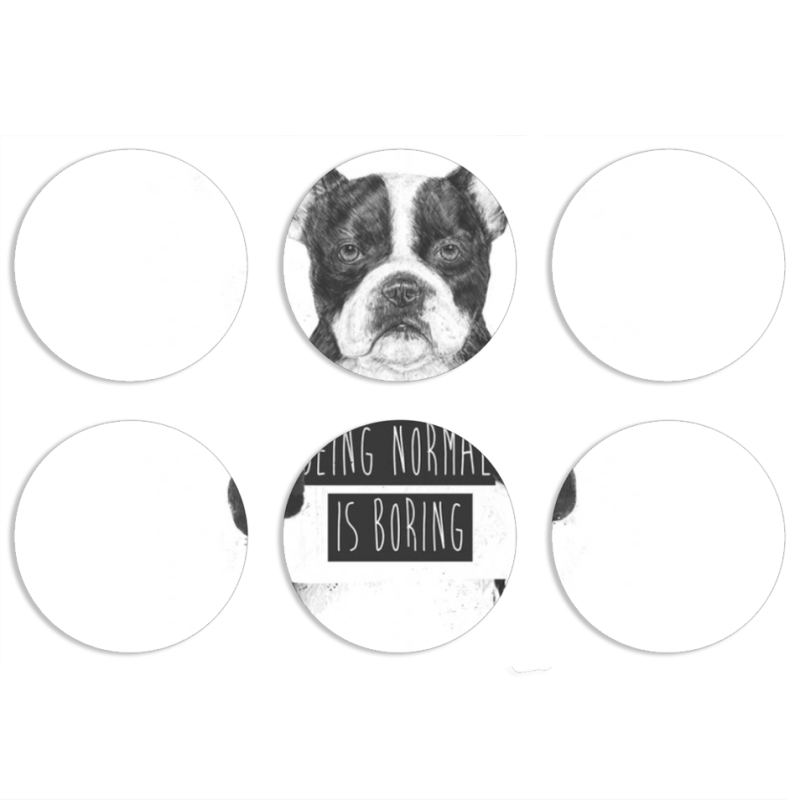 Магнитные фотопазлы круги d55 набор 6 штук 