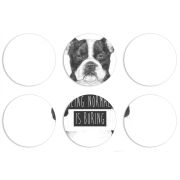 Магнитные фотопазлы круги d55 набор 6 штук 