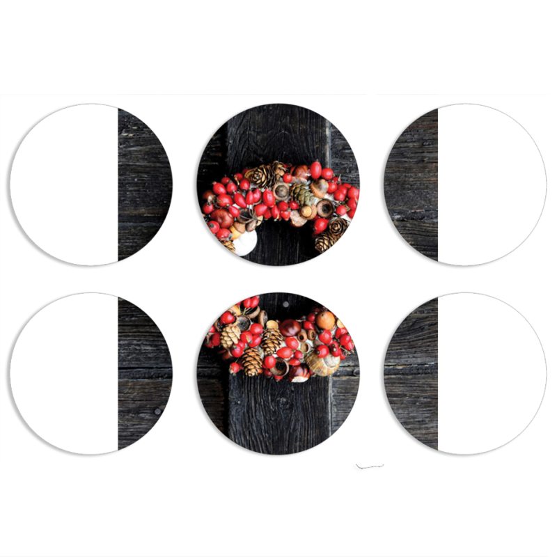 Магнитные фотопазлы круги d55 набор 6 штук 