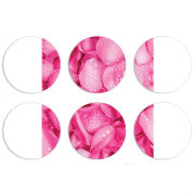 Магнитные фотопазлы круги d55 набор 6 штук 