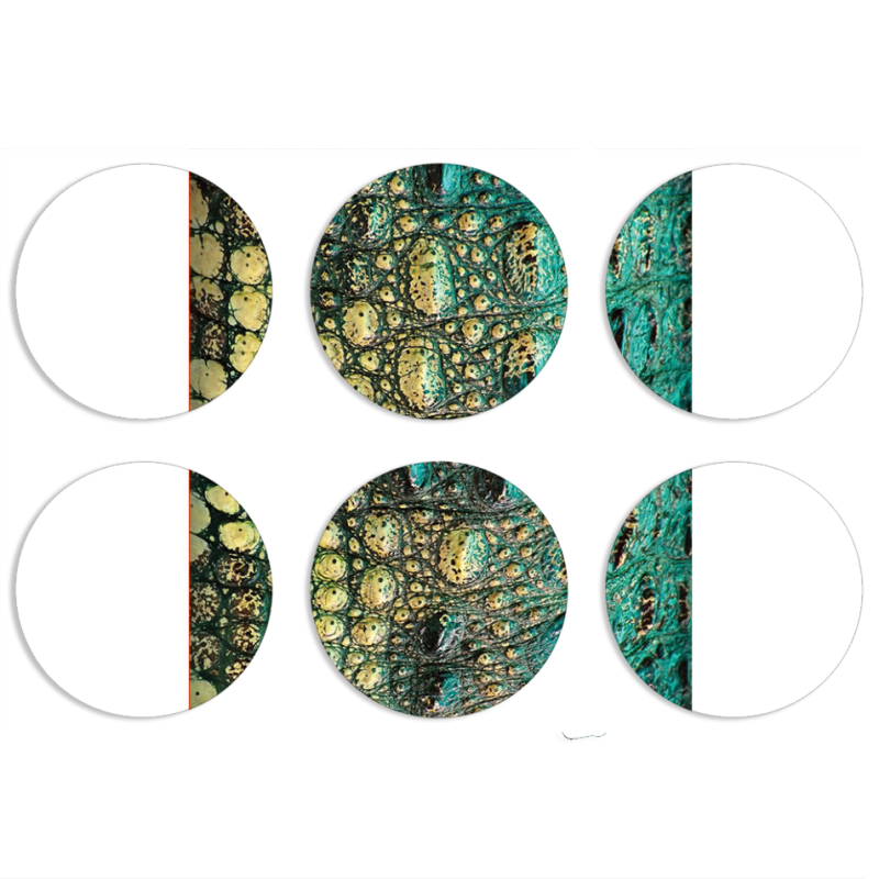 Магнитные фотопазлы круги d55 набор 6 штук 