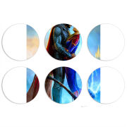 Магнитные фотопазлы круги d55 набор 6 штук 