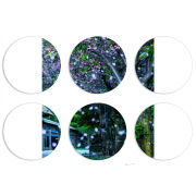 Магнитные фотопазлы круги d55 набор 6 штук 