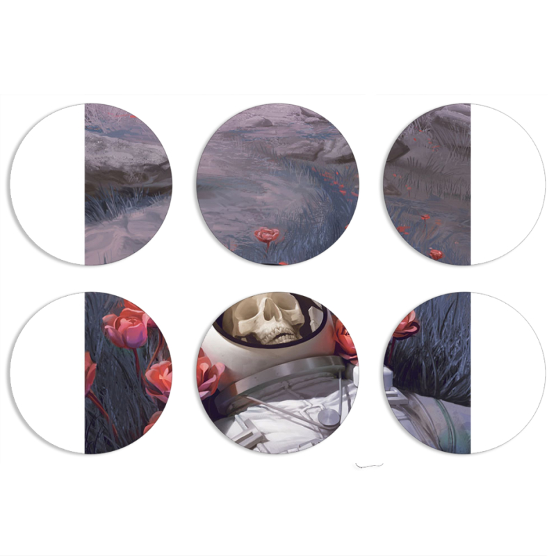 Магнитные фотопазлы круги d55 набор 6 штук 