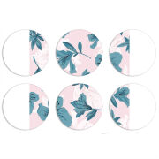 Магнитные фотопазлы круги d55 набор 6 штук 