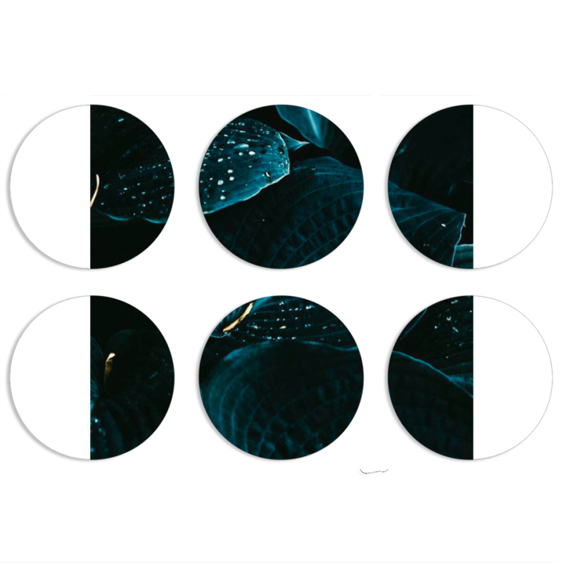 Магнитные фотопазлы круги d55 набор 6 штук 