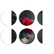 Магнитные фотопазлы круги d55 набор 6 штук 