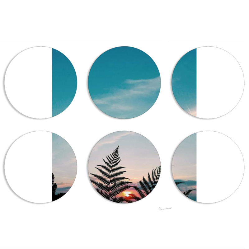 Магнитные фотопазлы круги d55 набор 6 штук 