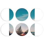 Магнитные фотопазлы круги d55 набор 6 штук 