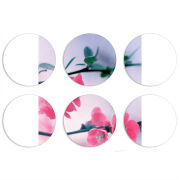 Магнитные фотопазлы круги d55 набор 6 штук 