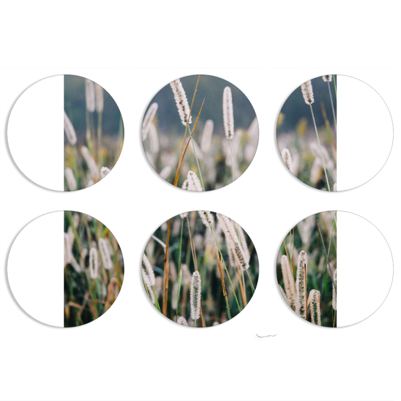 Магнитные фотопазлы круги d55 набор 6 штук 