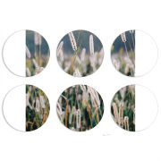 Магнитные фотопазлы круги d55 набор 6 штук 