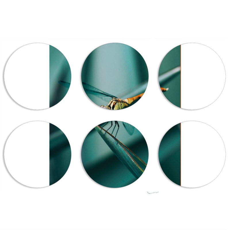 Магнитные фотопазлы круги d55 набор 6 штук 