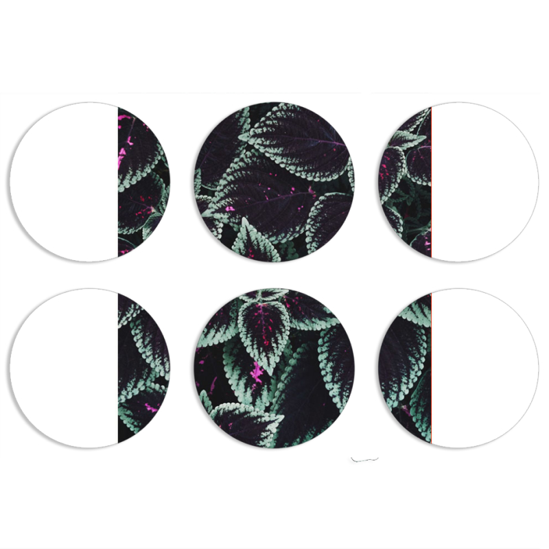 Магнитные фотопазлы круги d55 набор 6 штук 