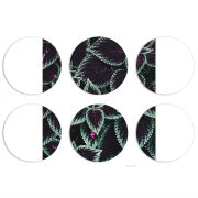 Магнитные фотопазлы круги d55 набор 6 штук 