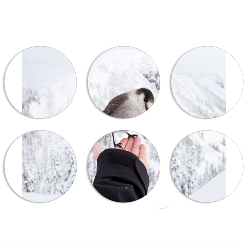 Магнитные фотопазлы круги d55 набор 6 штук 