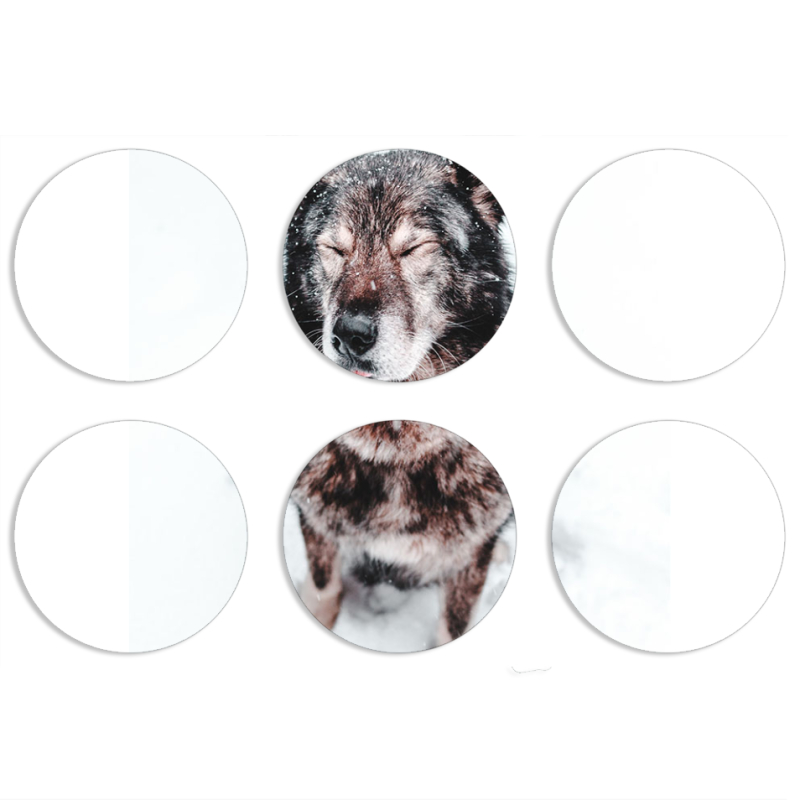 Магнитные фотопазлы круги d55 набор 6 штук 