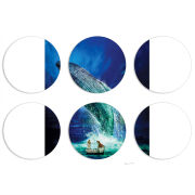 Магнитные фотопазлы круги d55 набор 6 штук Sea Giant