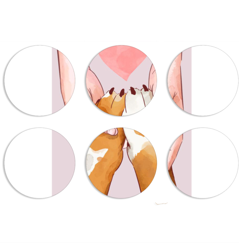 Магнитные фотопазлы круги d55 набор 6 штук 