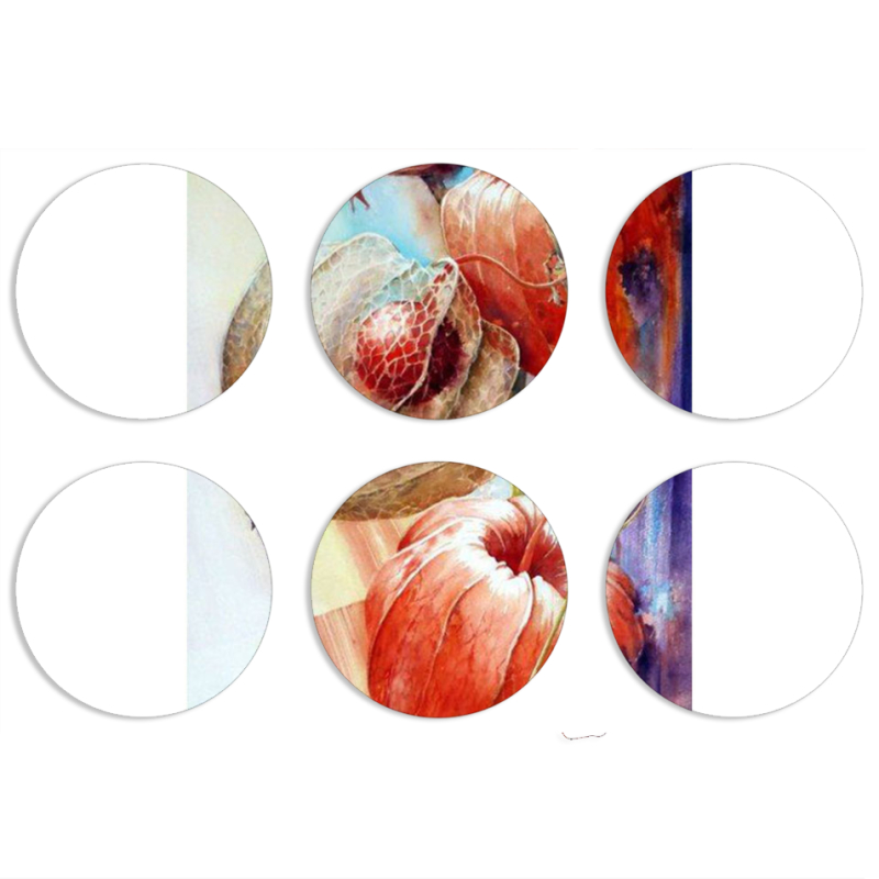 Магнитные фотопазлы круги d55 набор 6 штук 