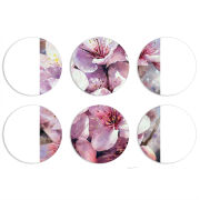 Магнитные фотопазлы круги d55 набор 6 штук 