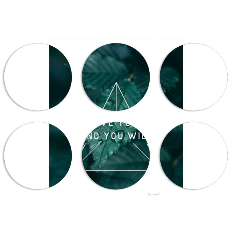 Магнитные фотопазлы круги d55 набор 6 штук 