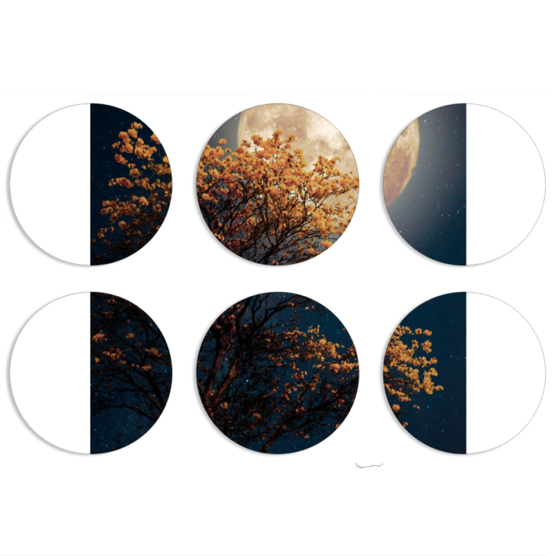 Магнитные фотопазлы круги d55 набор 6 штук 