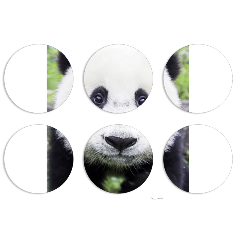 Магнитные фотопазлы круги d55 набор 6 штук 