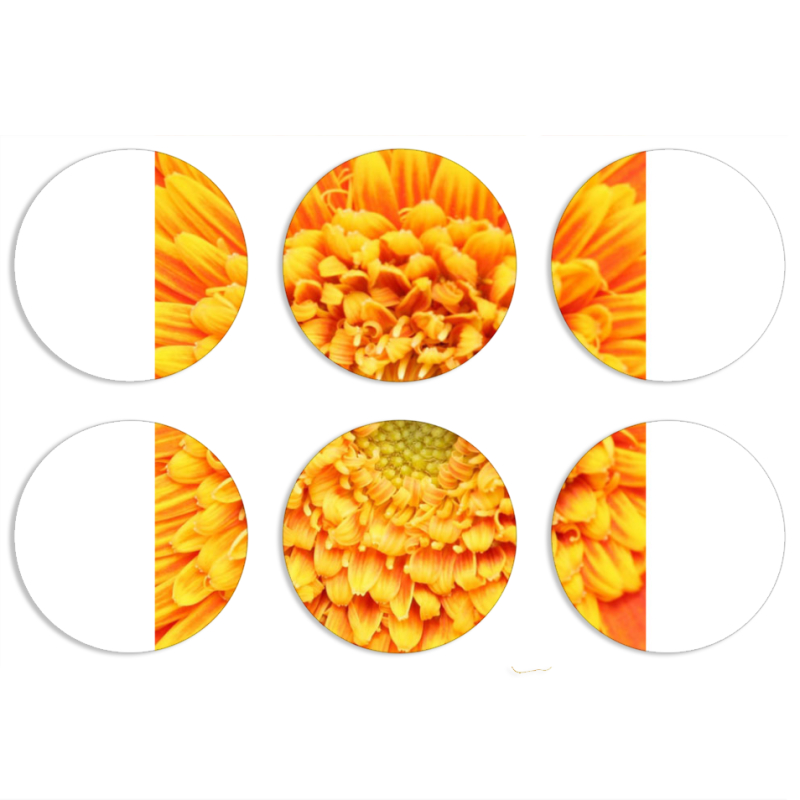 Магнитные фотопазлы круги d55 набор 6 штук 