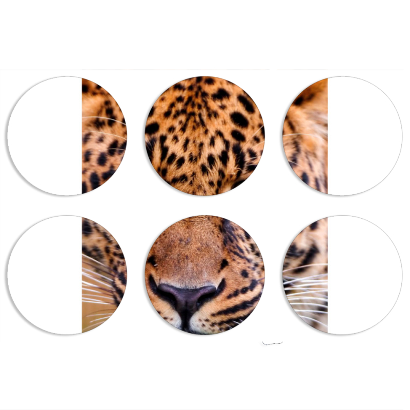 Магнитные фотопазлы круги d55 набор 6 штук 