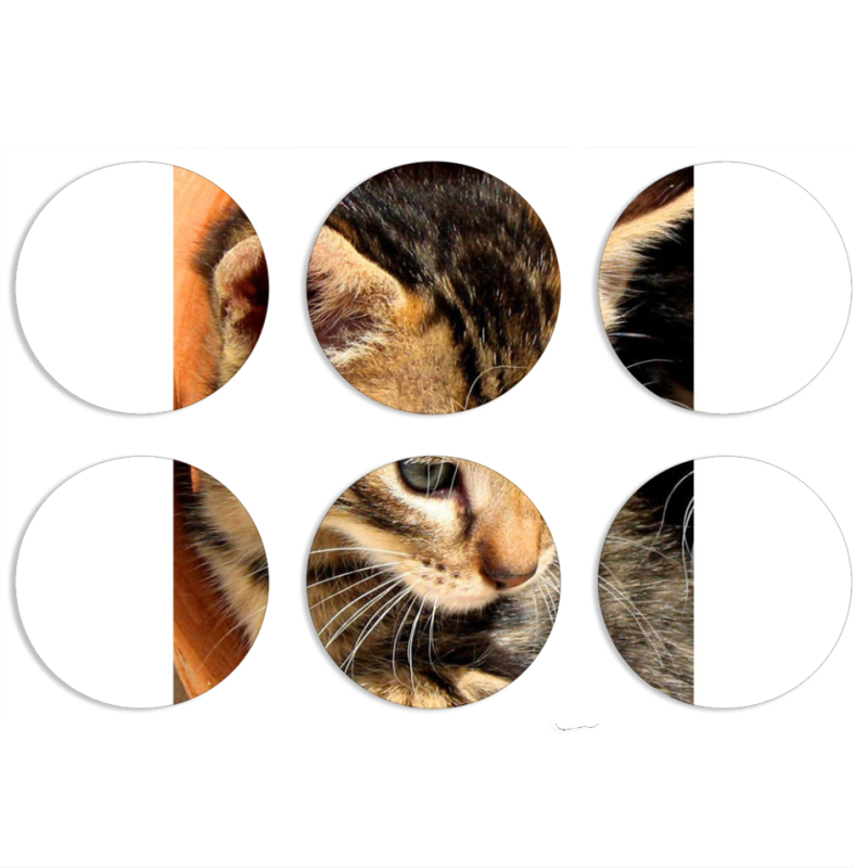 Магнитные фотопазлы круги d55 набор 6 штук 