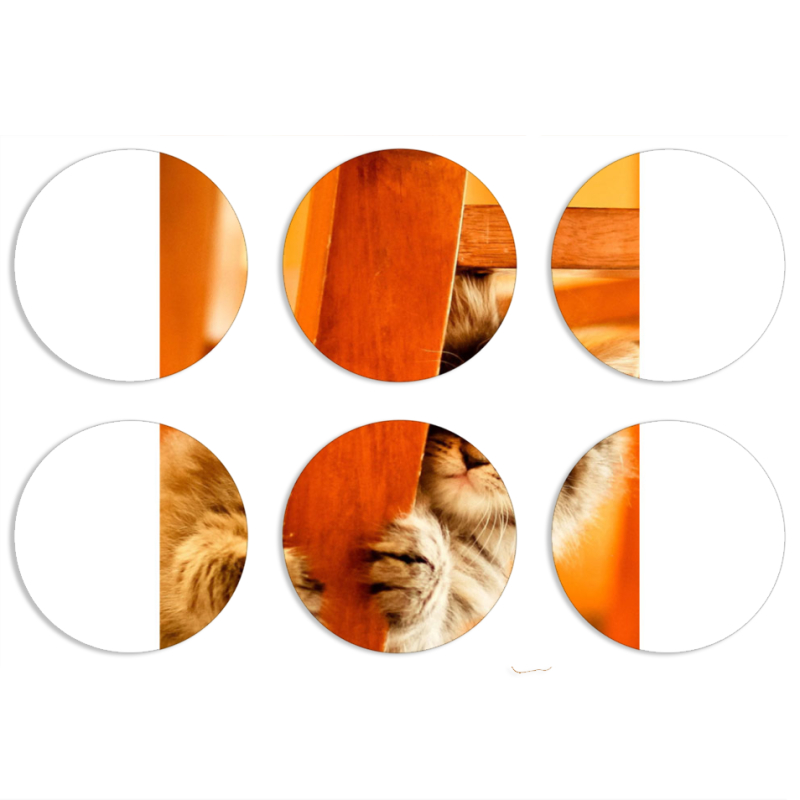 Магнитные фотопазлы круги d55 набор 6 штук 