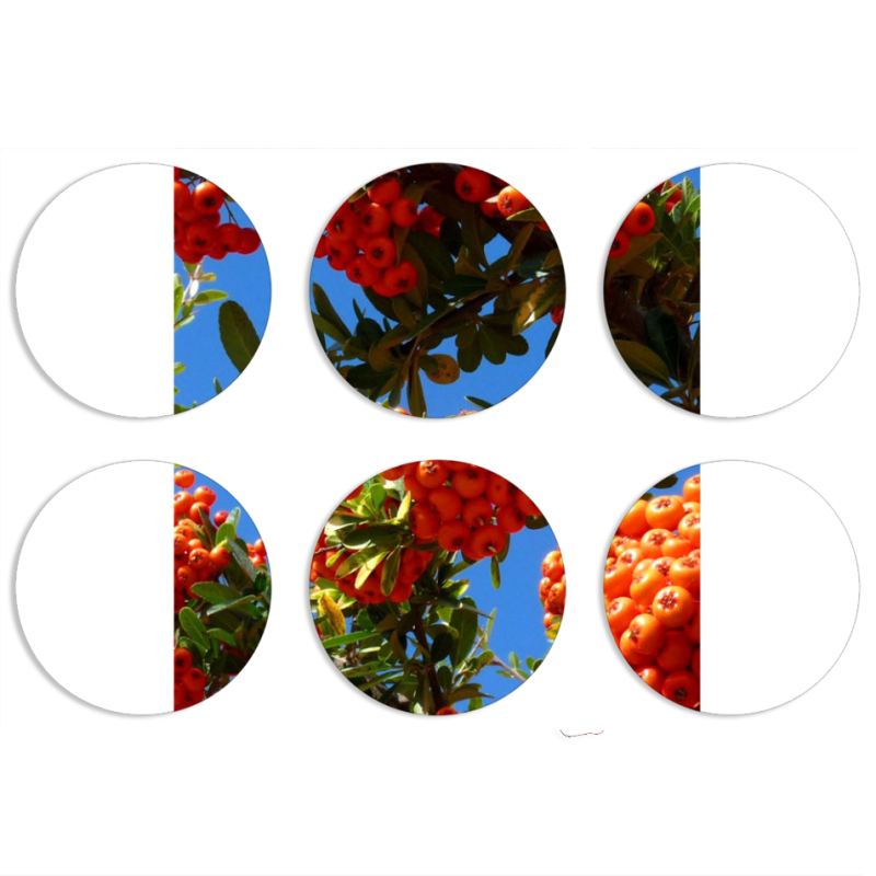 Магнитные фотопазлы круги d55 набор 6 штук 