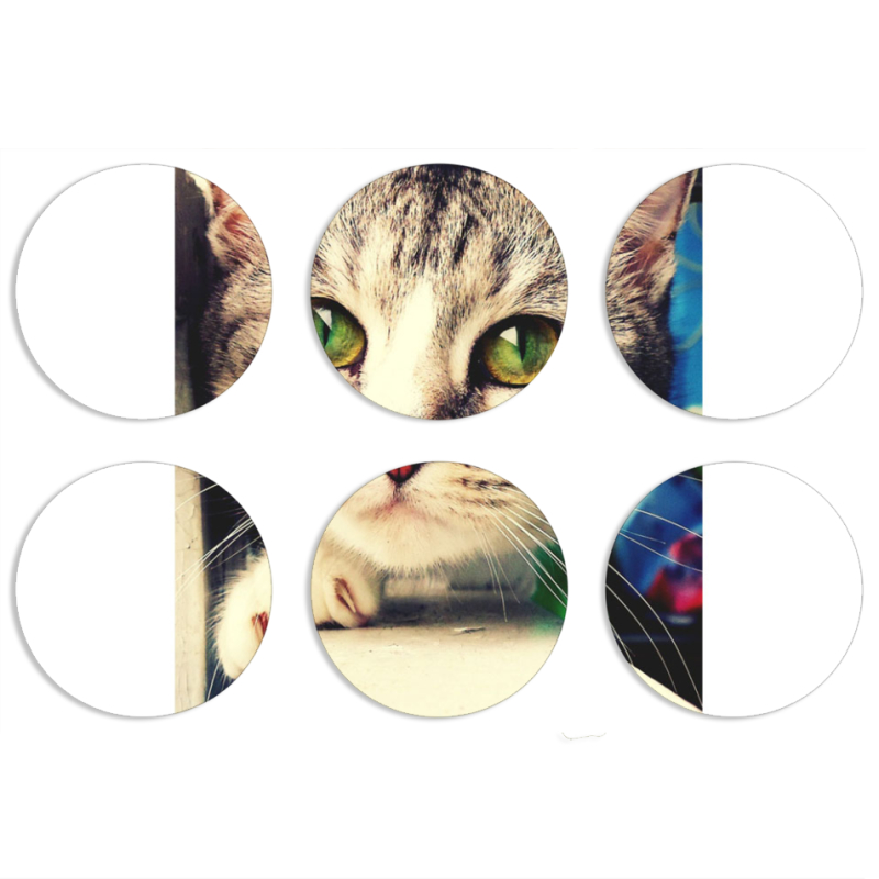 Магнитные фотопазлы круги d55 набор 6 штук 