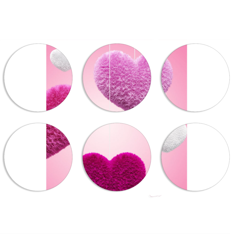 Магнитные фотопазлы круги d55 набор 6 штук 