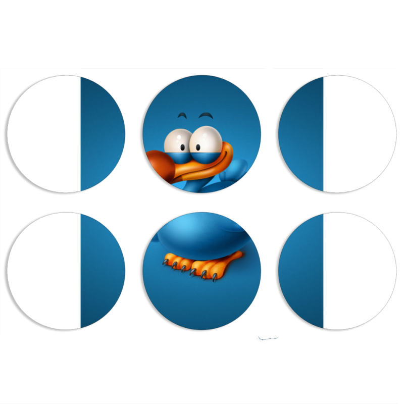 Магнитные фотопазлы круги d55 набор 6 штук 