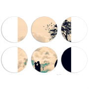 Магнитные фотопазлы круги d55 набор 6 штук 