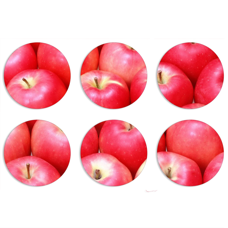 Магнитные фотопазлы круги d55 набор 6 штук 