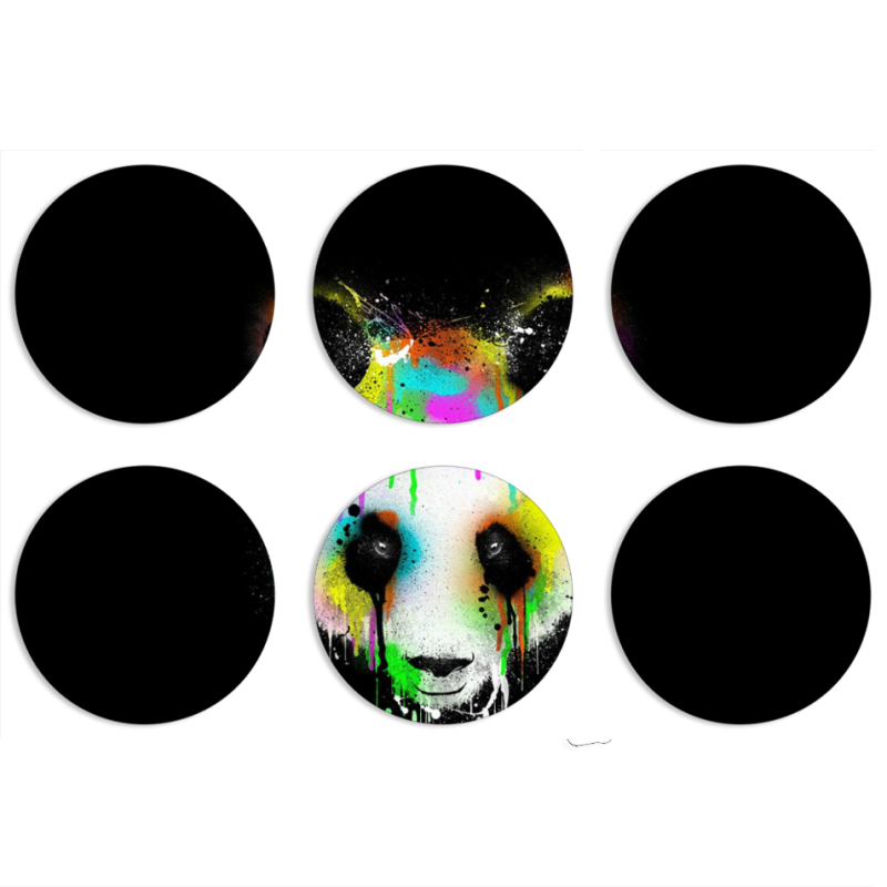 Магнитные фотопазлы круги d55 набор 6 штук 