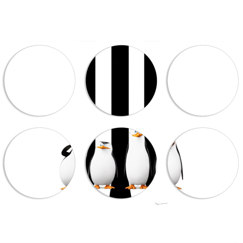 Магнитные фотопазлы круги d55 набор 6 штук 