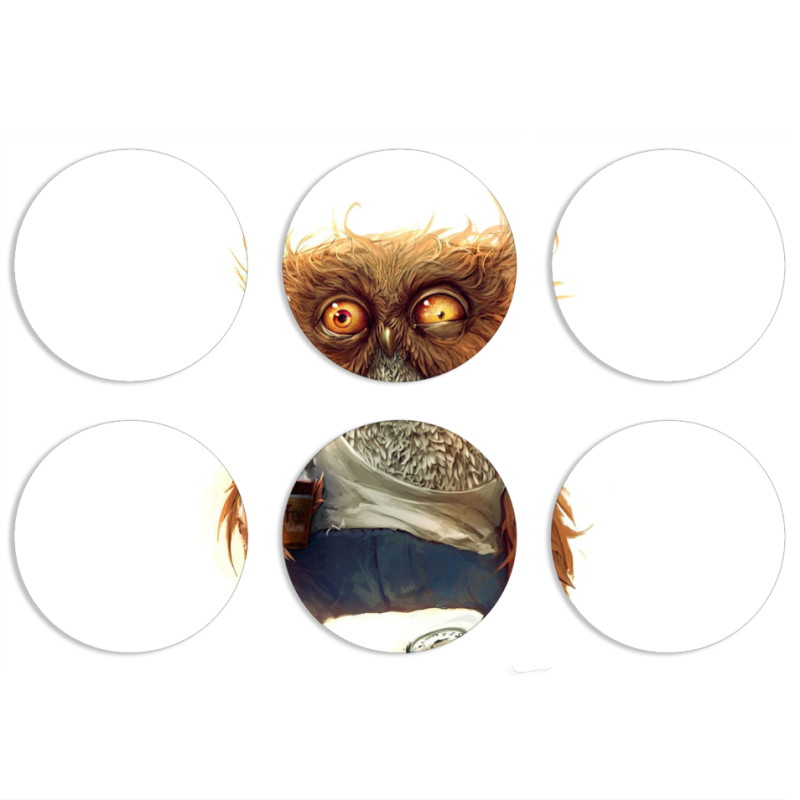 Магнитные фотопазлы круги d55 набор 6 штук 