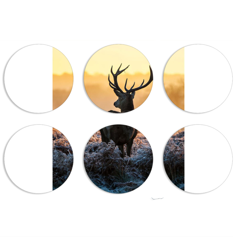 Магнитные фотопазлы круги d55 набор 6 штук 