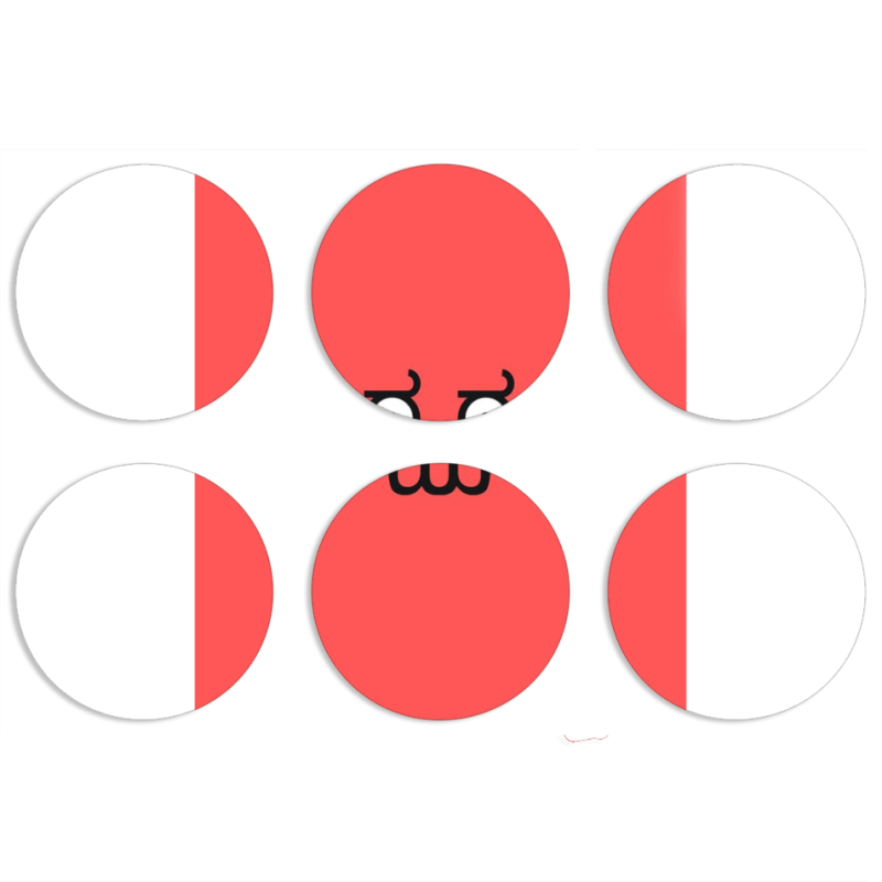 Магнитные фотопазлы круги d55 набор 6 штук 